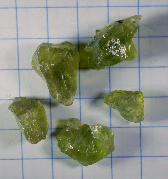 Peridot - 21.66ct - Hand Select Gem Rough - prettyrock.com