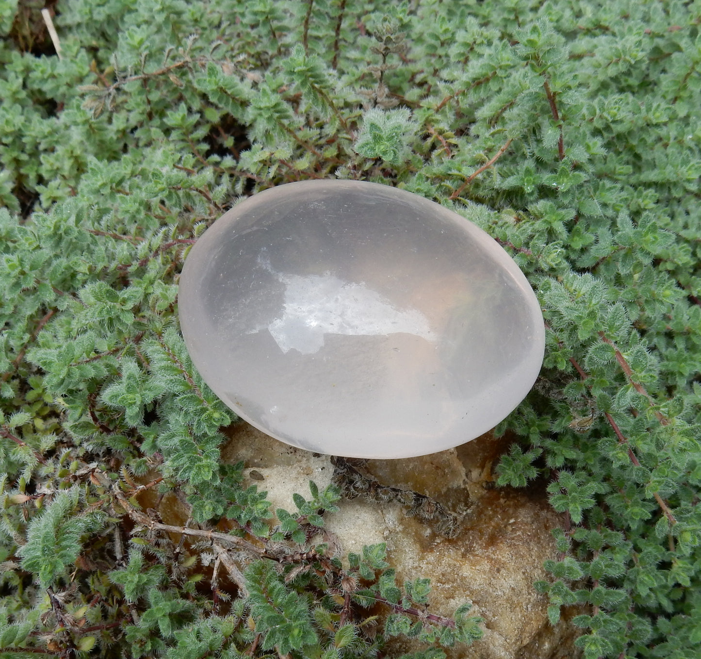 Rose Quartz Palm Stone - 378.5 ct - prettyrock.com