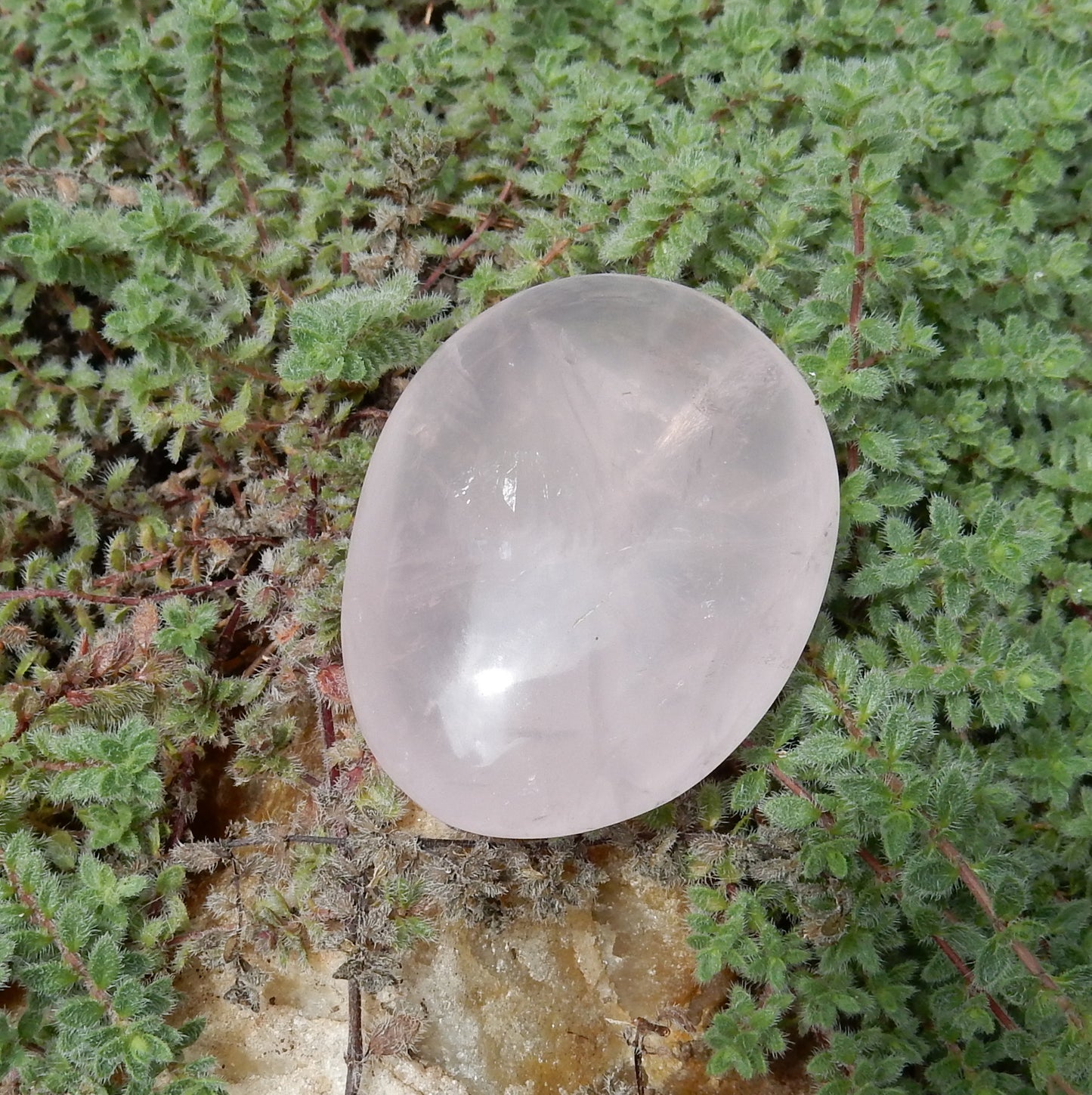 Rose Quartz Palm Stone - 203 ct - prettyrock.com