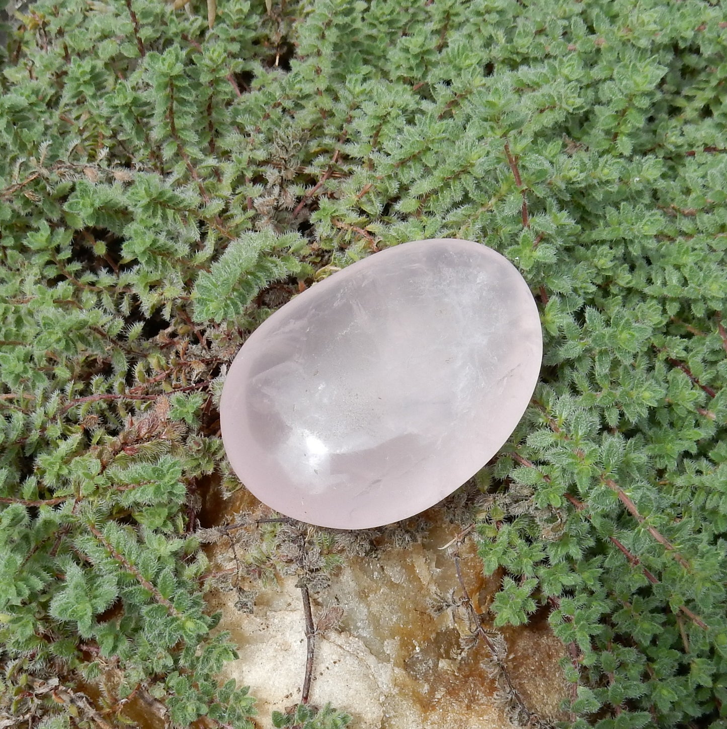 Rose Quartz Palm Stone - 203 ct - prettyrock.com