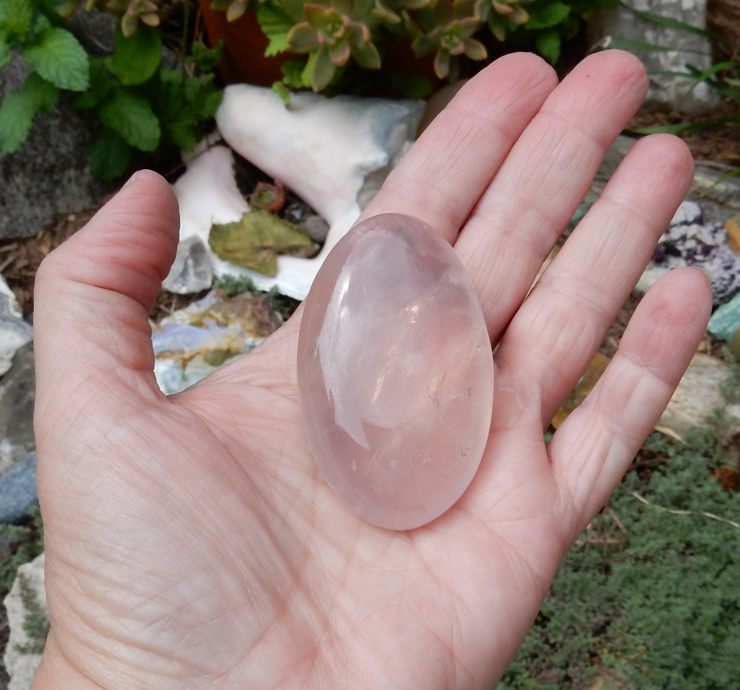 Rose Quartz Palm Stone - 271.5 ct - prettyrock.com