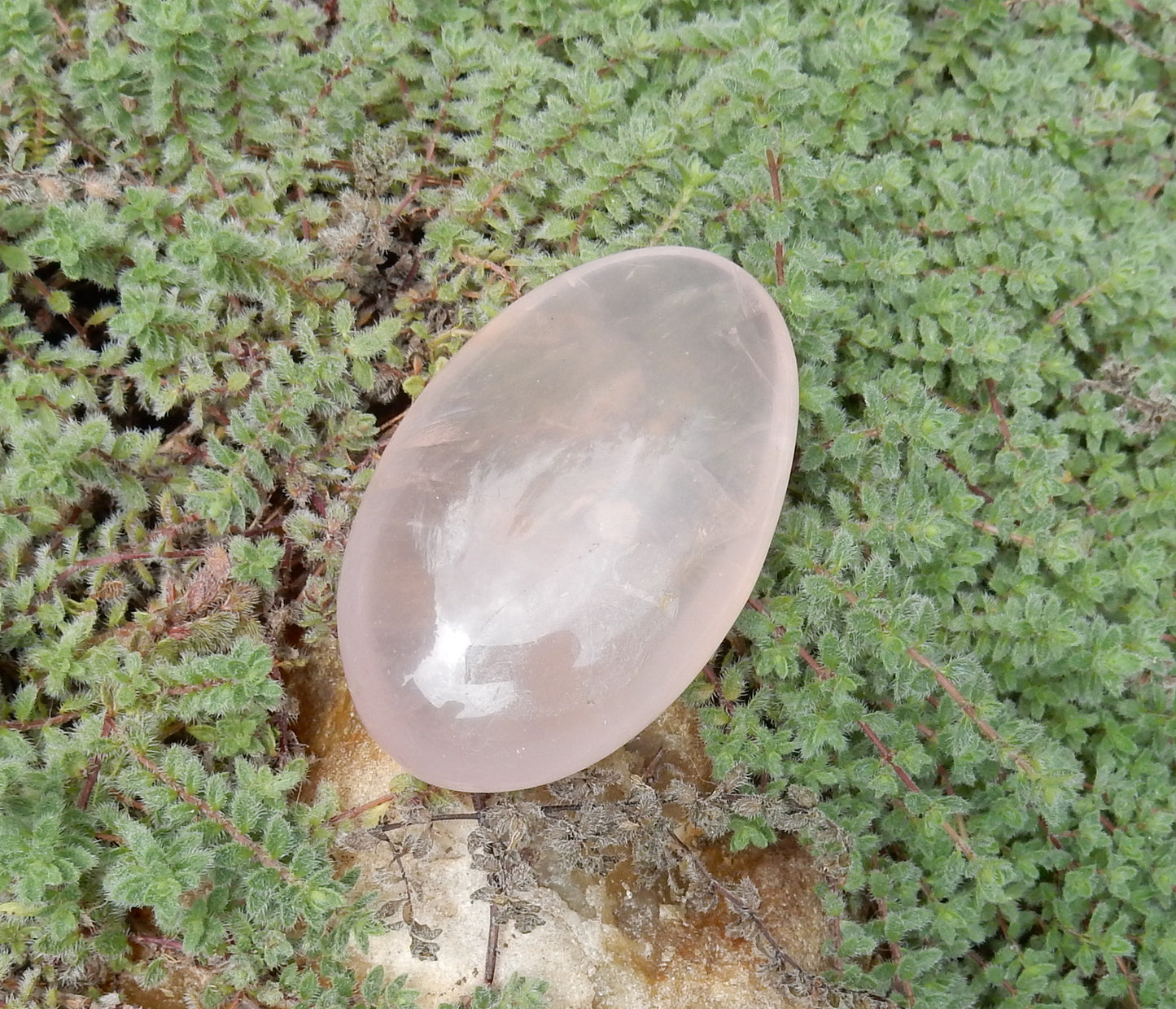 Rose Quartz Palm Stone - 271.5 ct - prettyrock.com