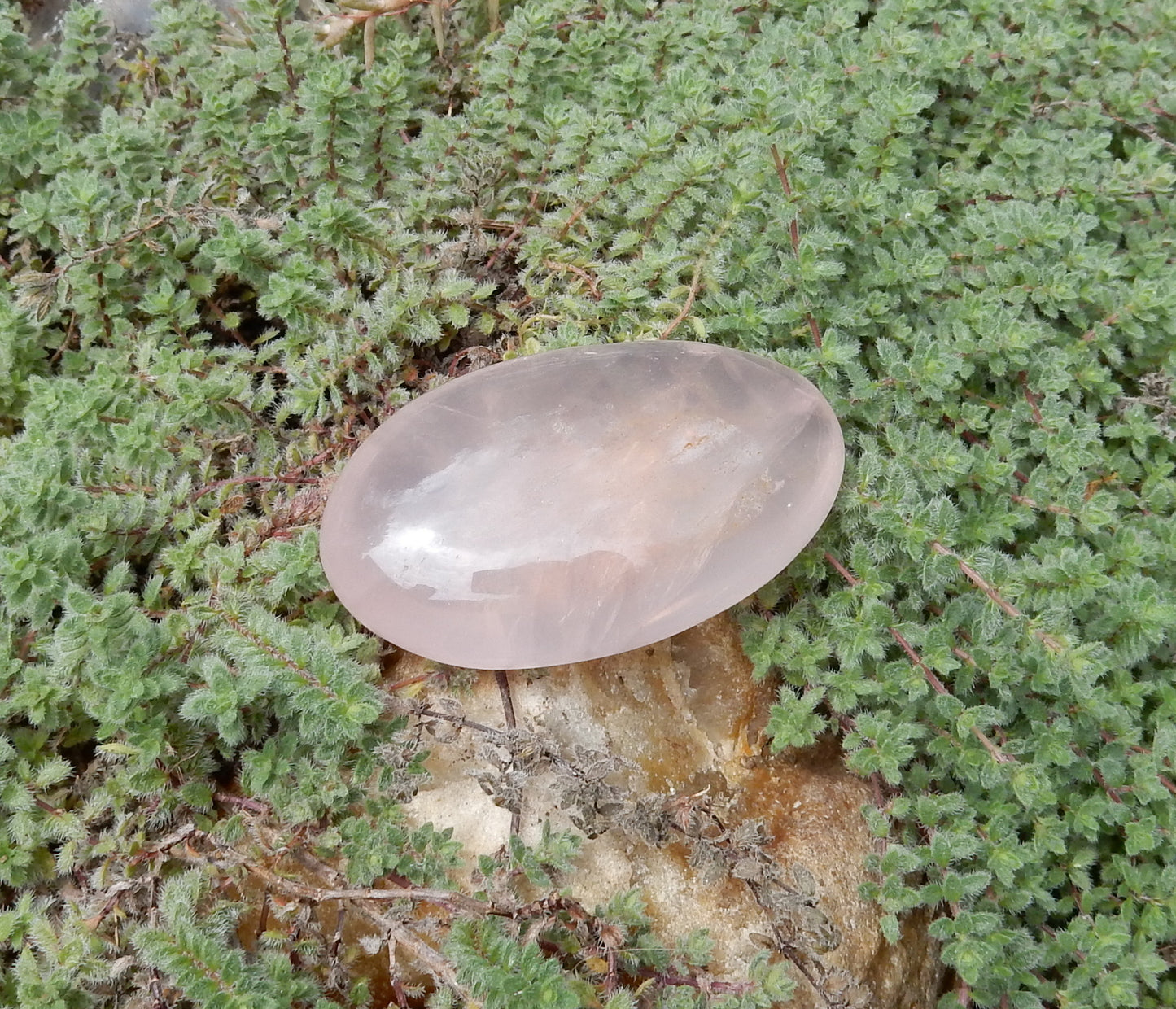 Rose Quartz Palm Stone - 271.5 ct - prettyrock.com