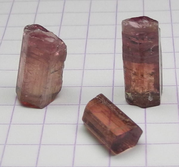 Rubellite Tourmaline - 12.77ct - Hand Select Gem Rough - prettyrock.com