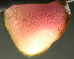 Rubellite Tourmaline - 7.87ct - Hand Select Gem Rough - prettyrock.com