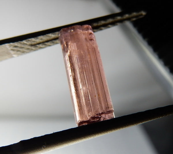 Rubellite Tourmaline - 8.78ct - Hand Select Gem Rough - prettyrock.com