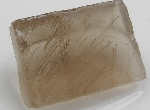 Rutilated Quartz - 10.5ct - Hand Select Gem Rough - prettyrock.com