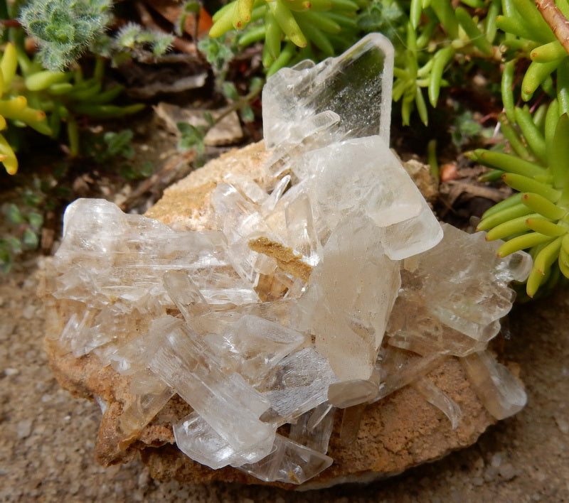 335.5ct Selenite  - Hand Select Gem Rough - prettyrock.com