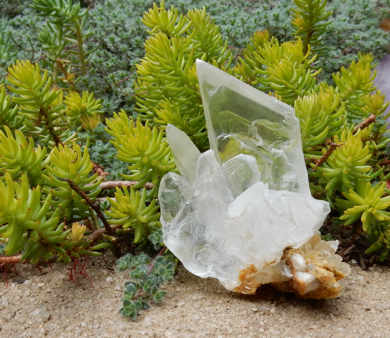 368.5ct Selenite  - Hand Select Gem Rough - prettyrock.com