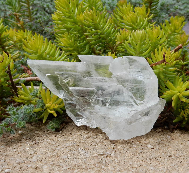 304.5ct Selenite  - Hand Select Gem Rough - prettyrock.com