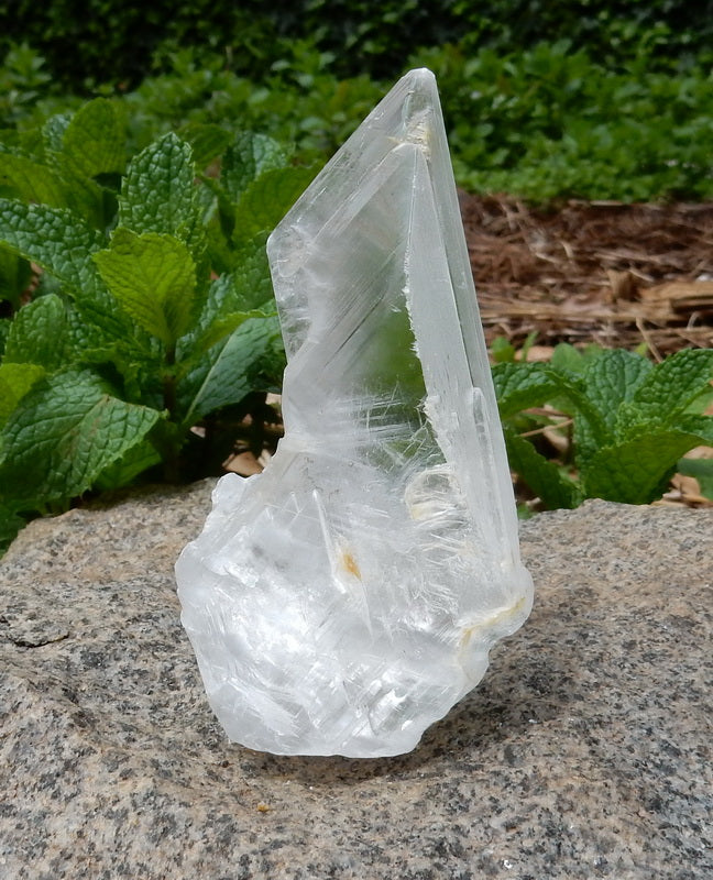 745.5ct Selenite  - Hand Select Gem Rough - prettyrock.com