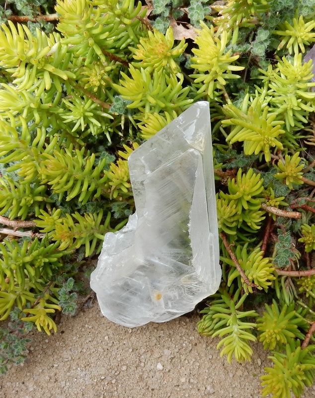 745.5ct Selenite  - Hand Select Gem Rough - prettyrock.com