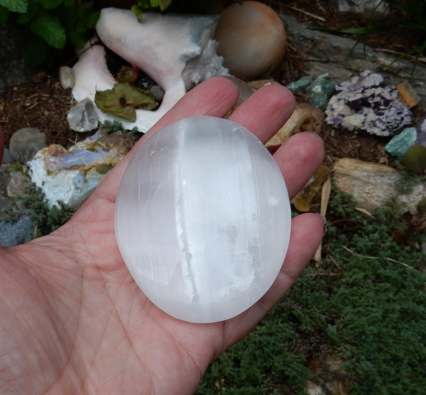 Selenite Palm Stone - 645 ct - prettyrock.com