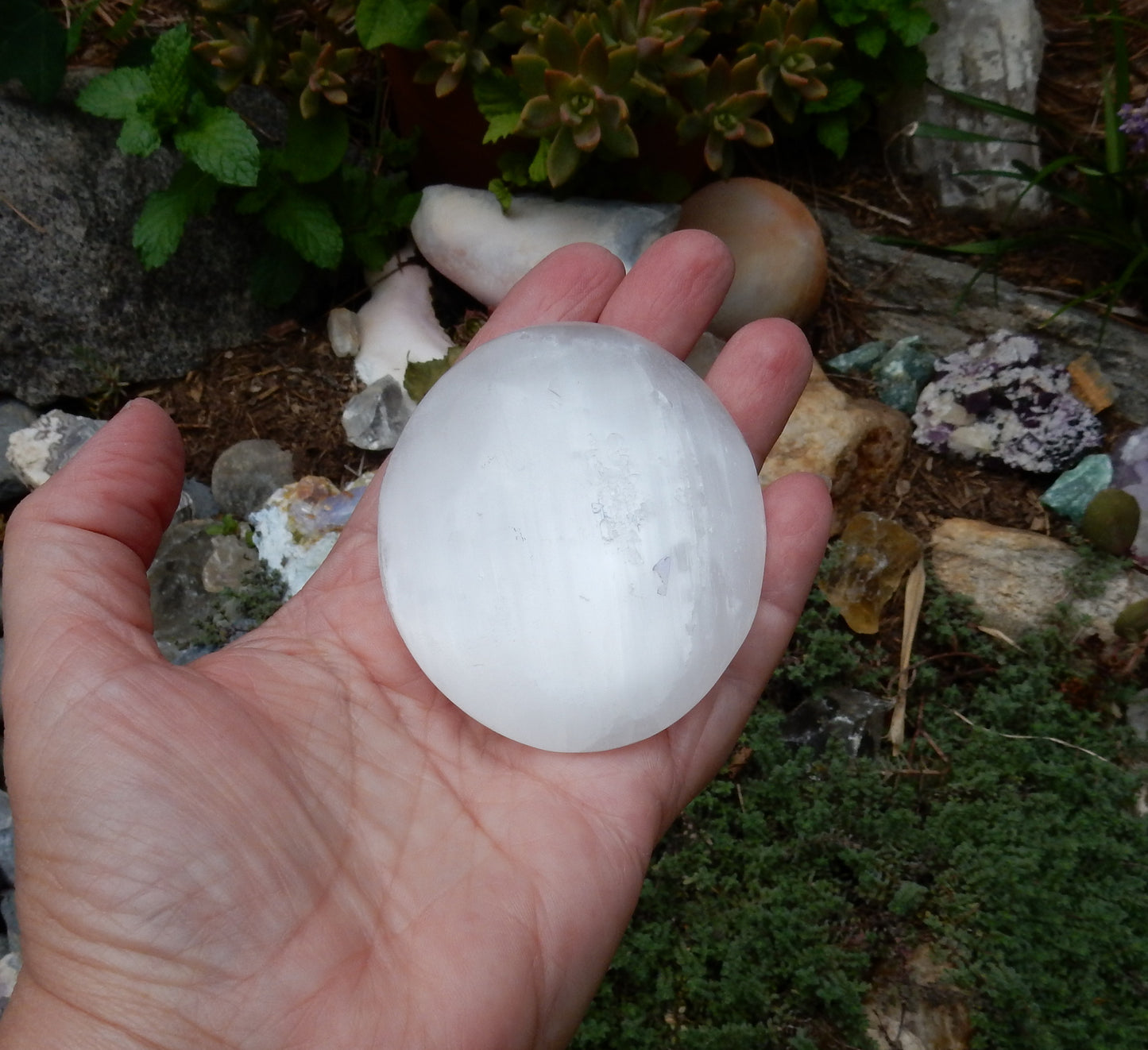 Selenite Palm Stone - 576 ct - prettyrock.com