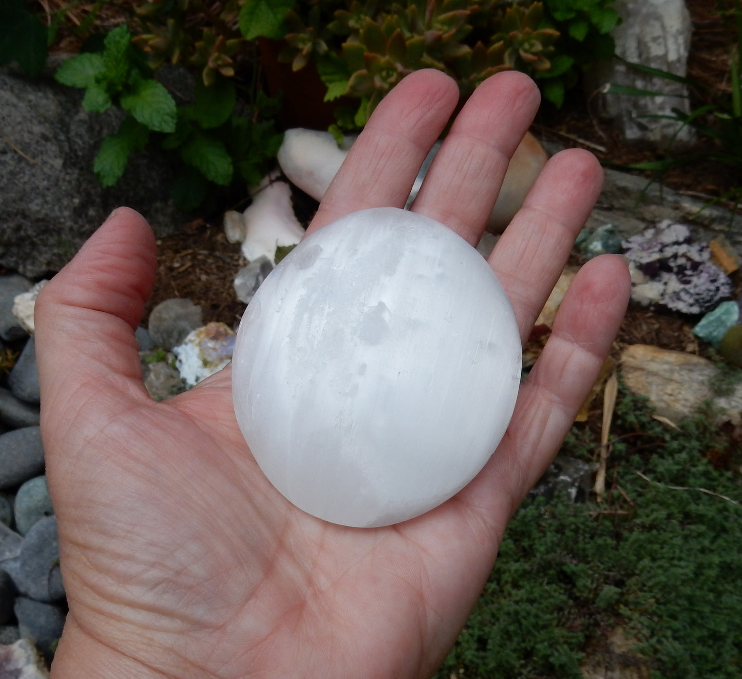 Selenite Palm Stone - 576 ct - prettyrock.com