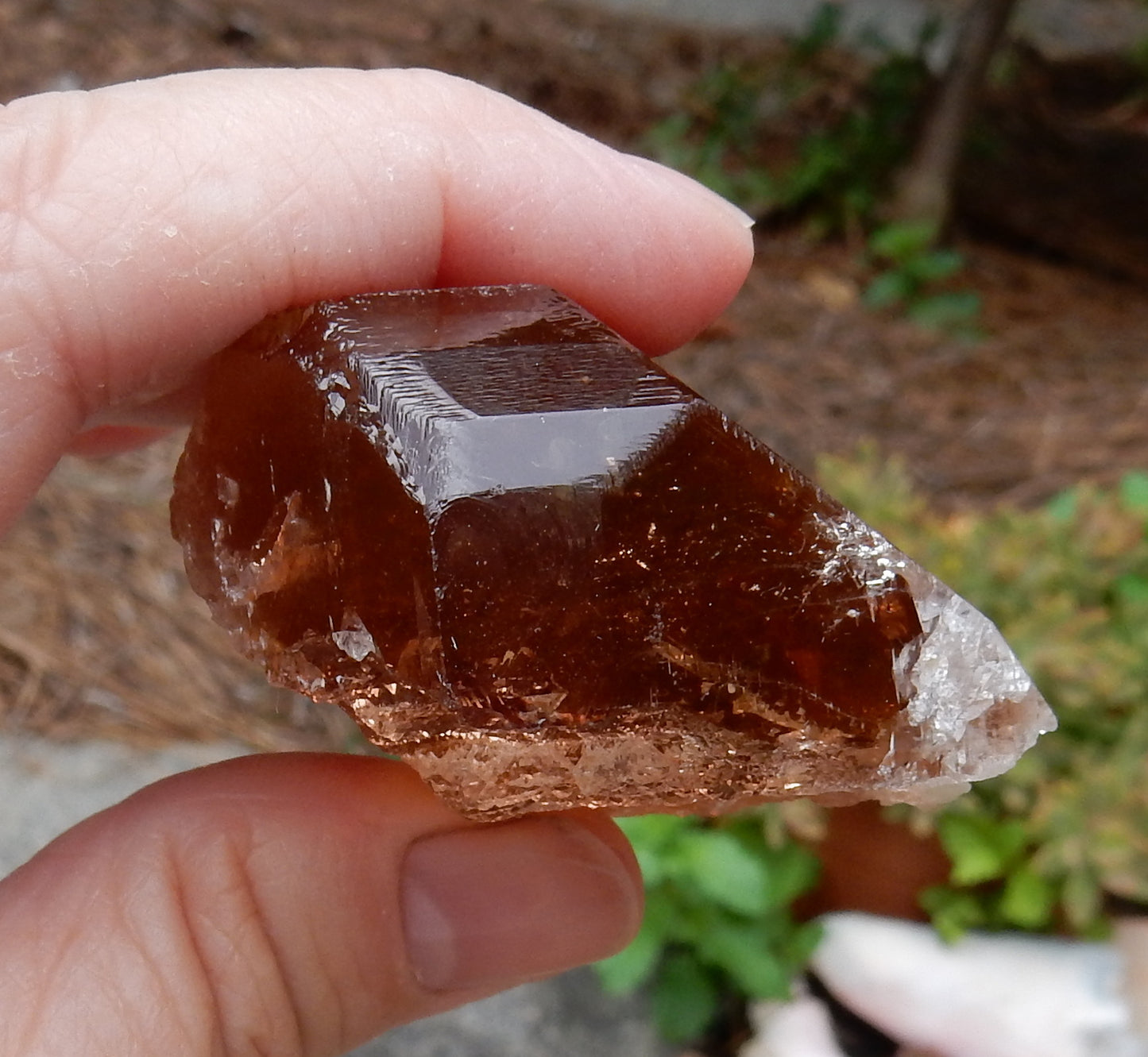 Sherry Topaz - 140ct - Hand Select Gem Rough - prettyrock.com