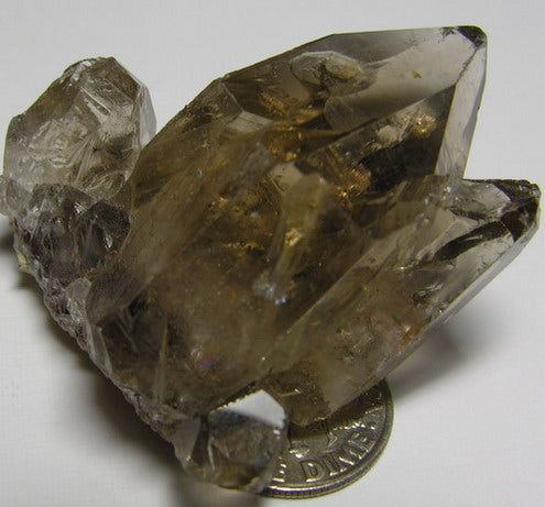 Smokey Quartz - 168.3ct - Hand Select Gem Rough - prettyrock.com