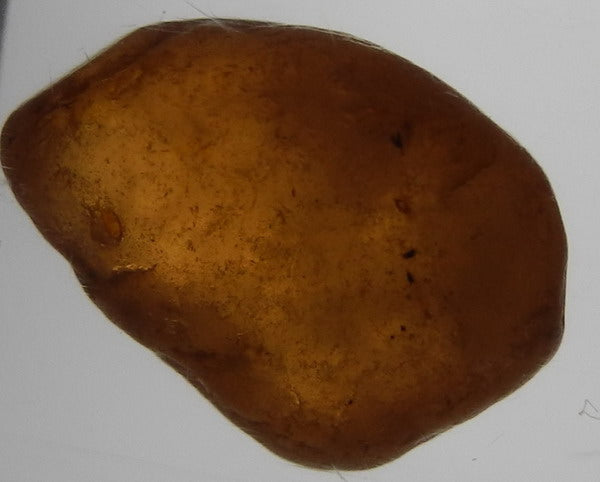 Spessartite Garnet - 5.48ct - Hand Select Gem Rough - prettyrock.com