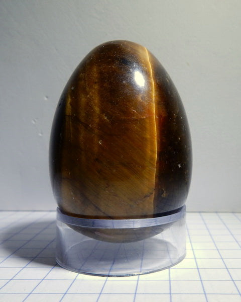Tigers Eye Quartz - 420ct - Polished Egg - prettyrock.com