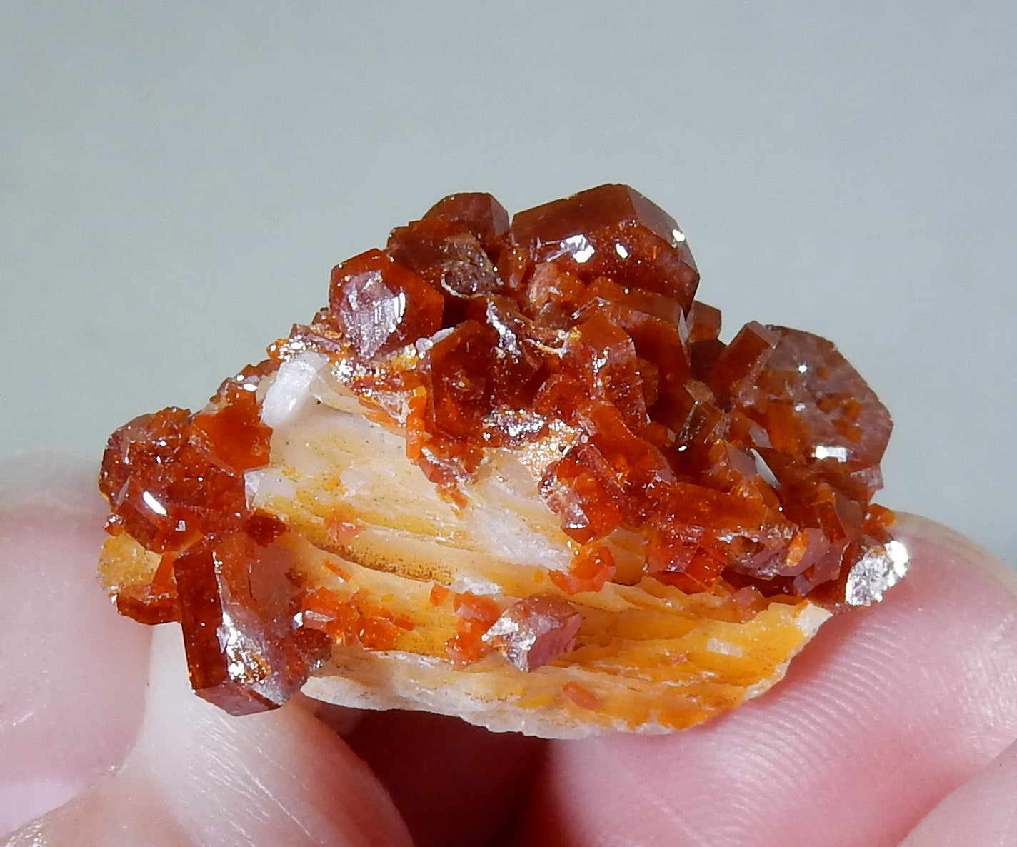 Vanadinite - 47.5 ct Mineral Specimen - prettyrock.com