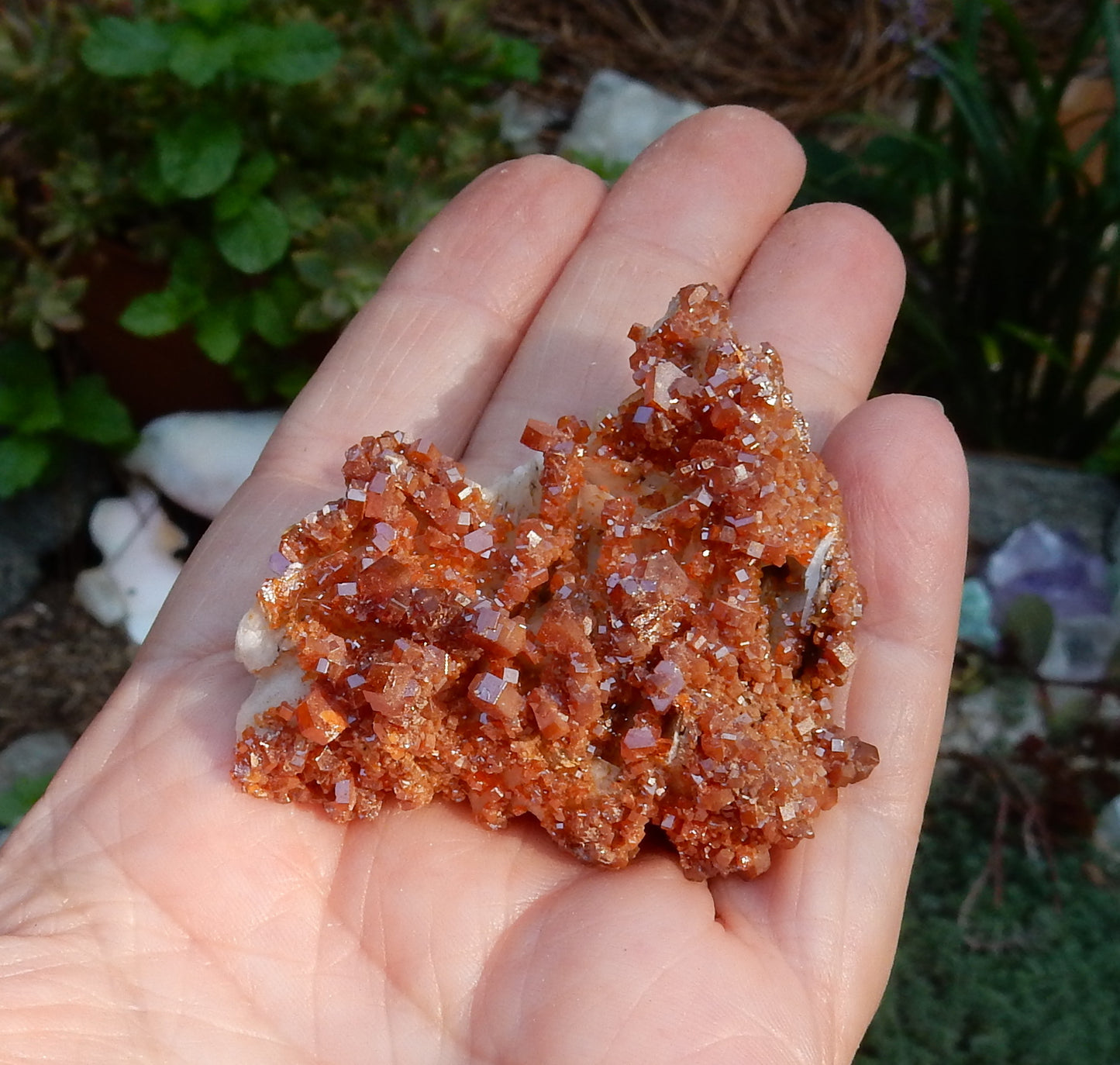 Vanadanite - 328.5ct Mineral Specimen - prettyrock.com