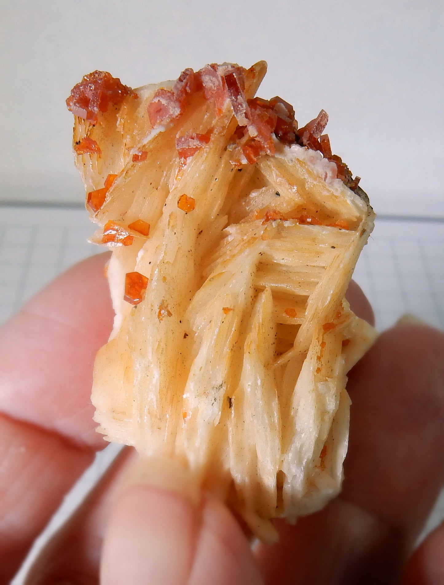 Vanadanite - 174.5 ct Mineral Specimen - prettyrock.com