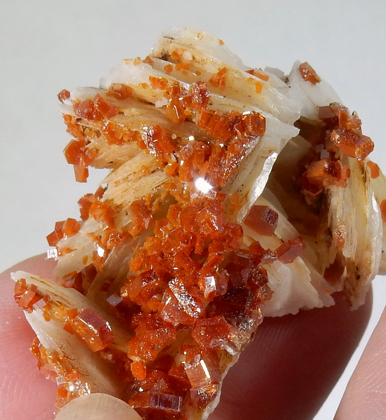 Vanadanite - 111.5 ct Mineral Specimen - prettyrock.com