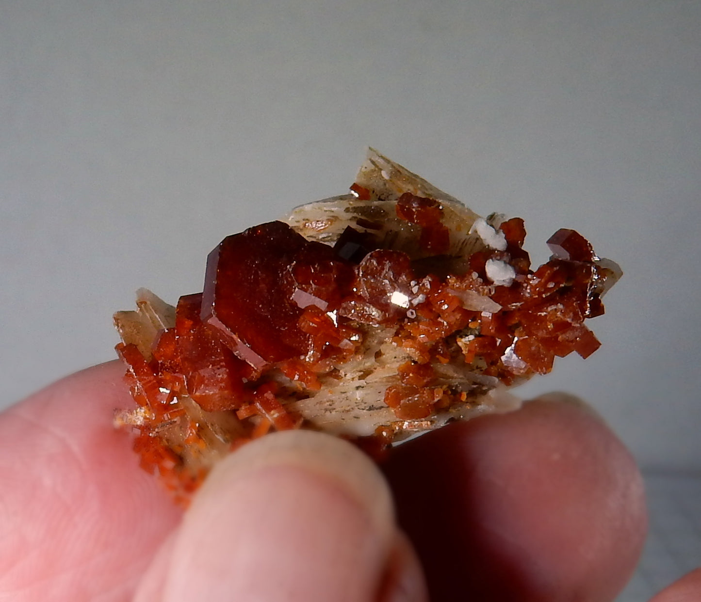 Vanadanite - 48.5 ct Mineral Specimen - prettyrock.com