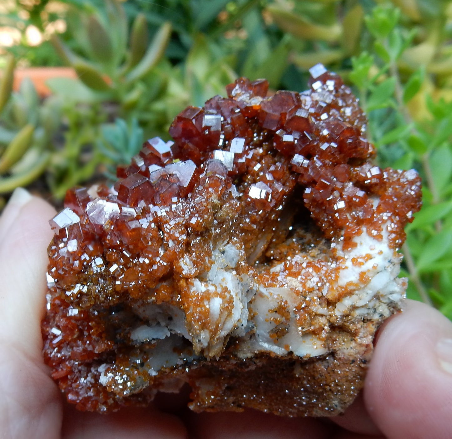 Vanadanite - 486ct  Mineral Specimen - prettyrock.com