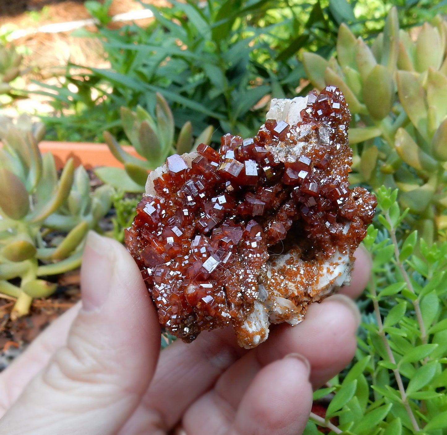 Vanadanite - 486ct Mineral Specimen - prettyrock.com