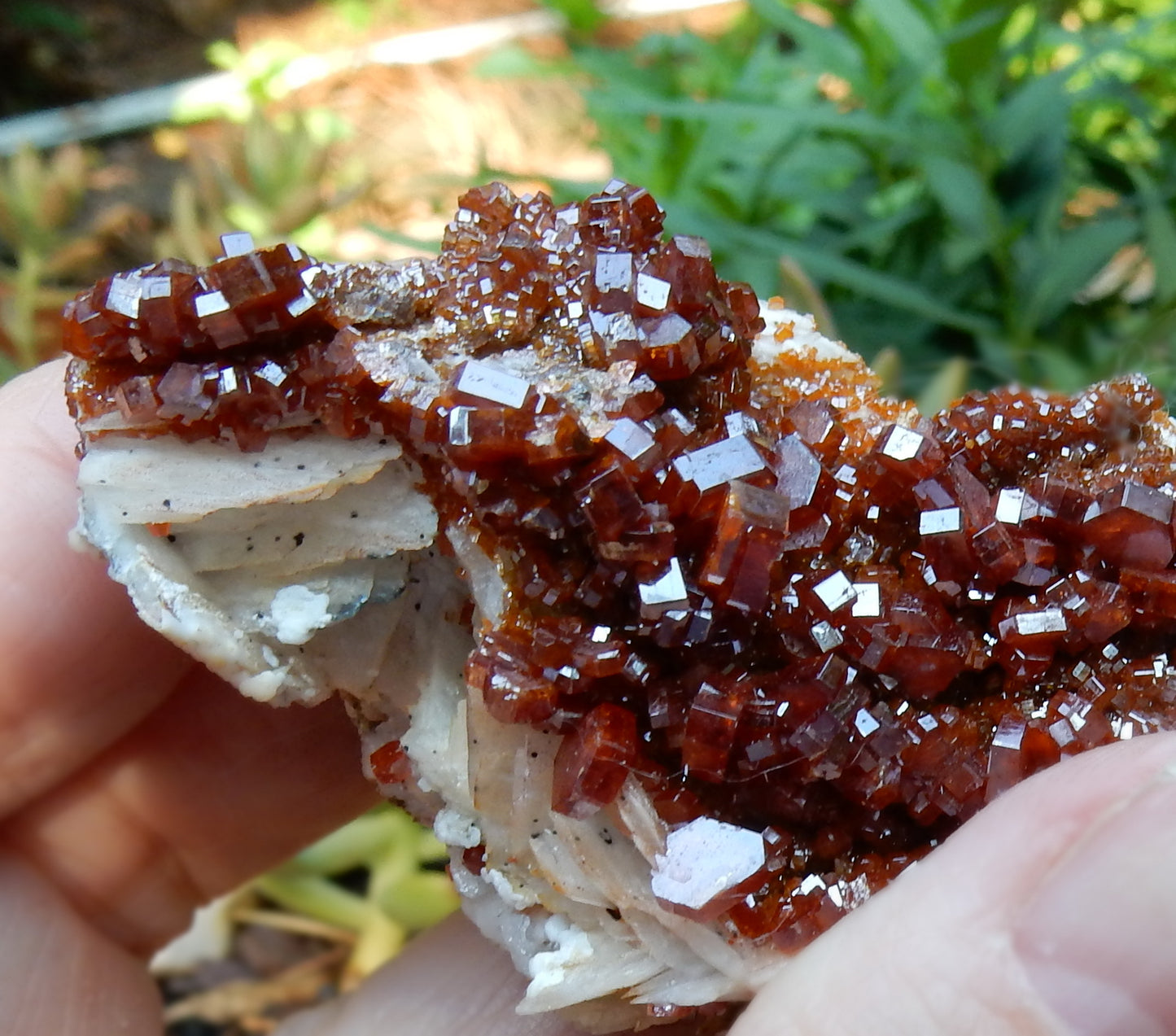 Vanadanite - 486ct  Mineral Specimen - prettyrock.com