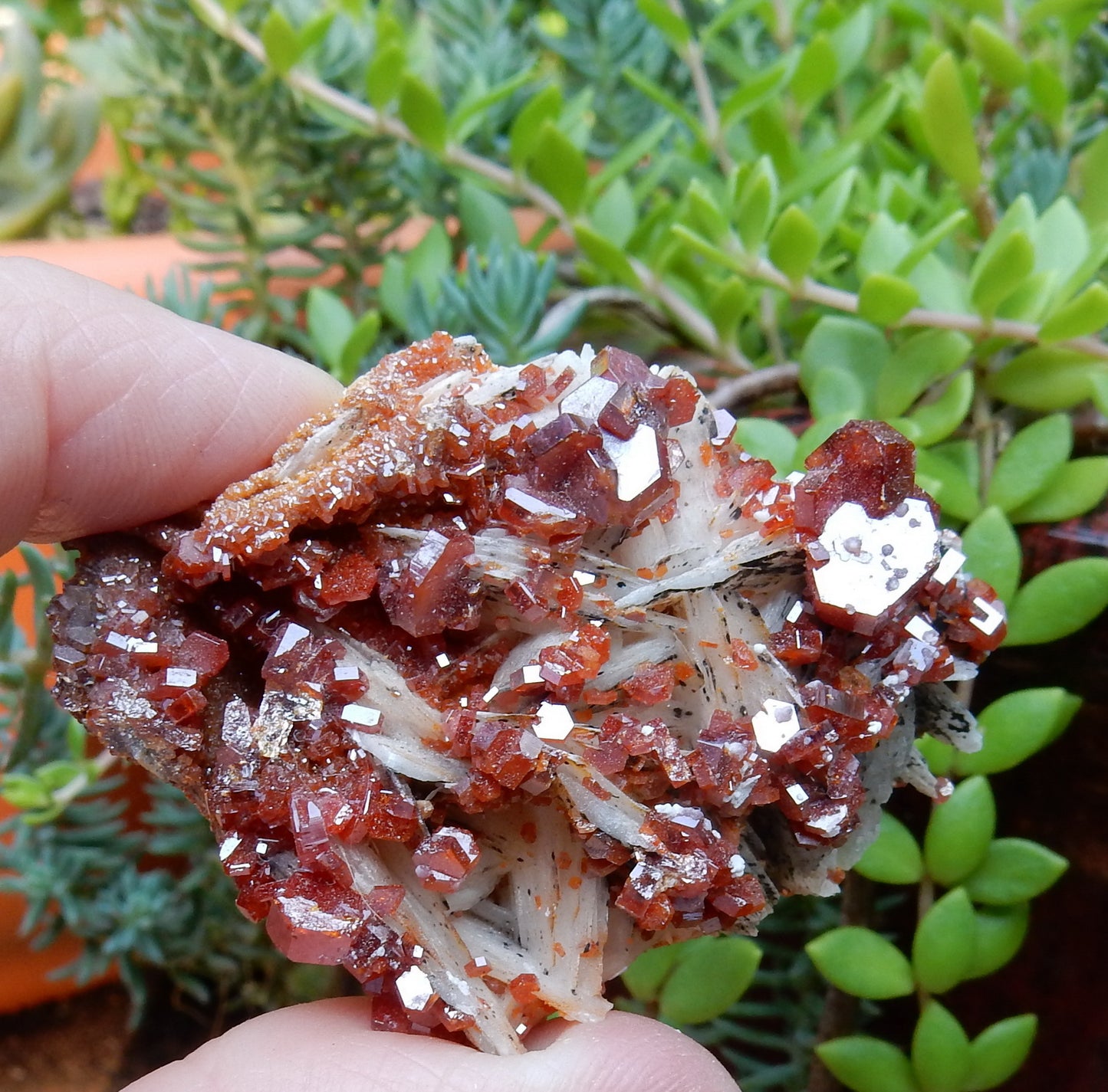 Vanadanite - 271ct Mineral Specimen - prettyrock.com