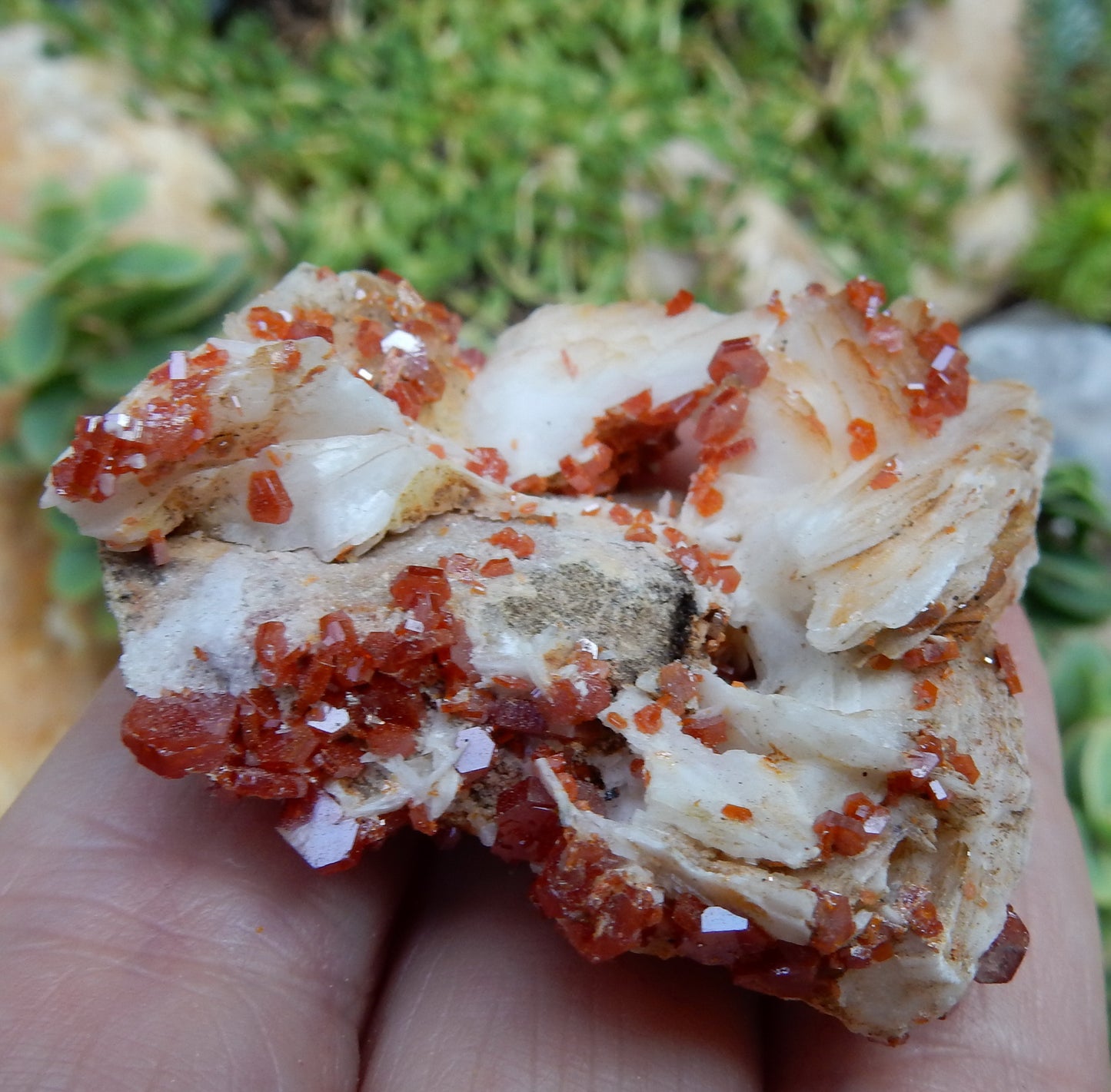 Vanadanite - 157ct Mineral Specimen - prettyrock.com