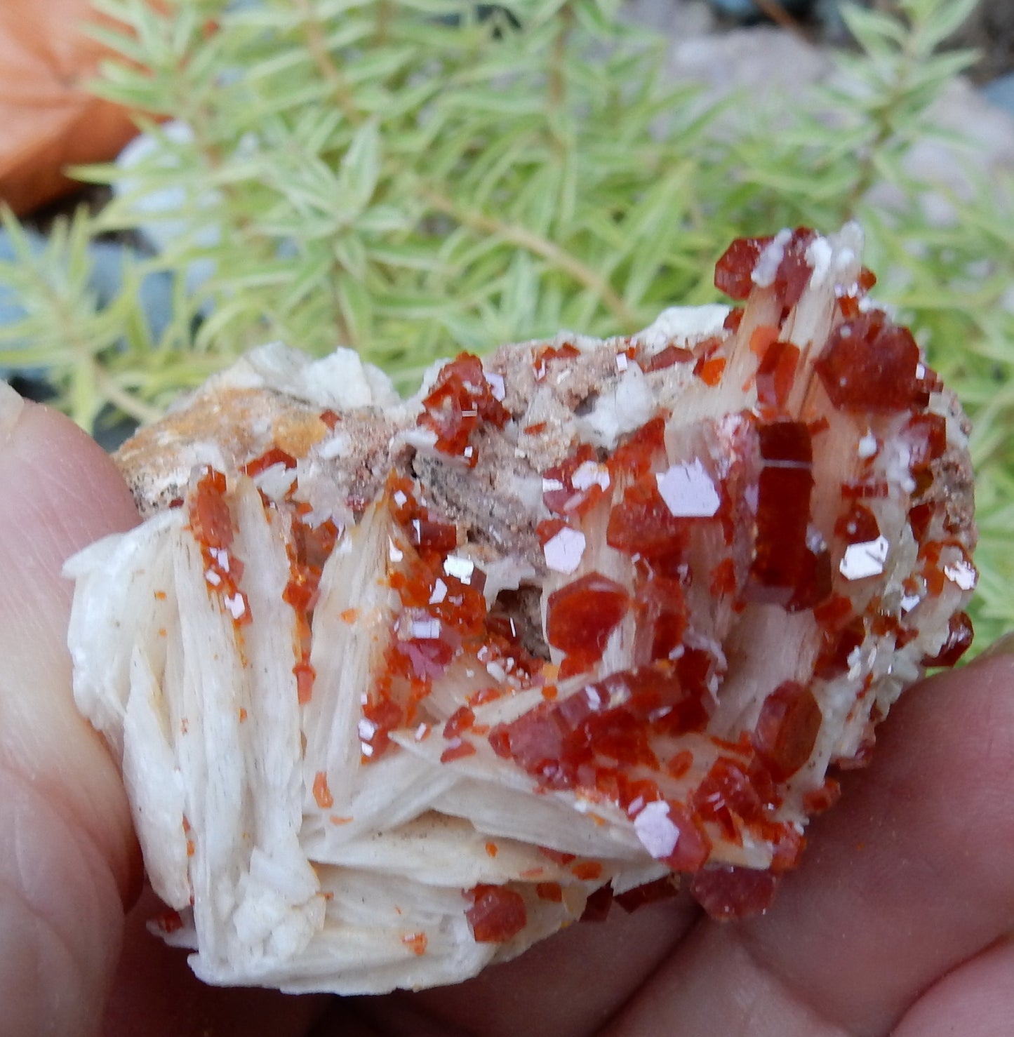 Vanadanite - 325ct  Mineral Specimen - prettyrock.com