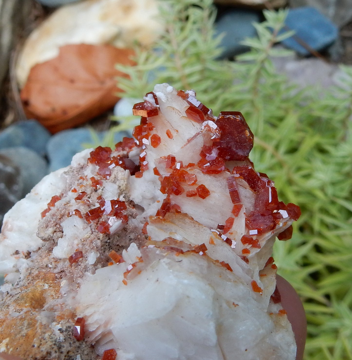 Vanadanite - 325ct Mineral Specimen - prettyrock.com