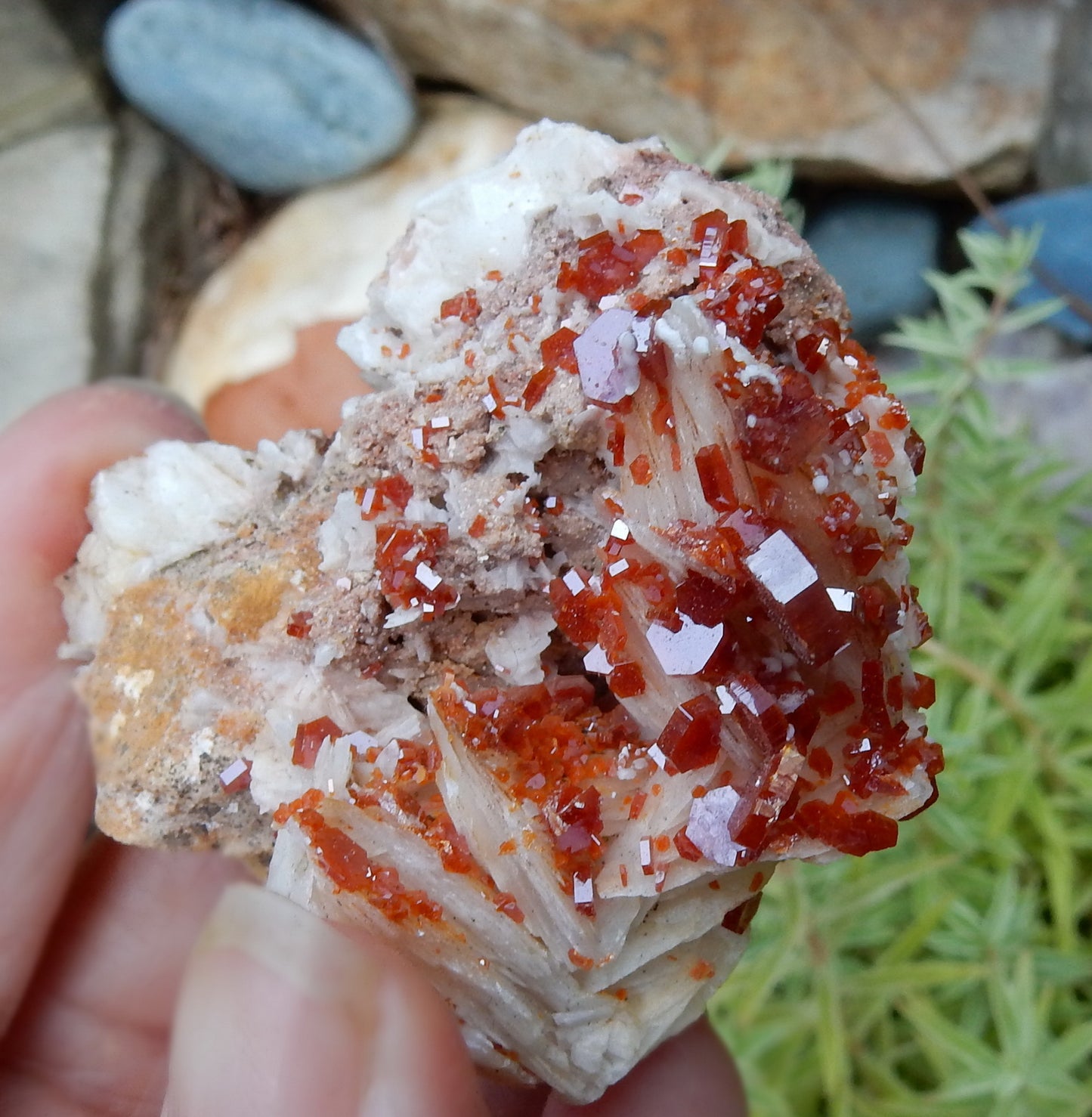 Vanadanite - 325ct Mineral Specimen - prettyrock.com