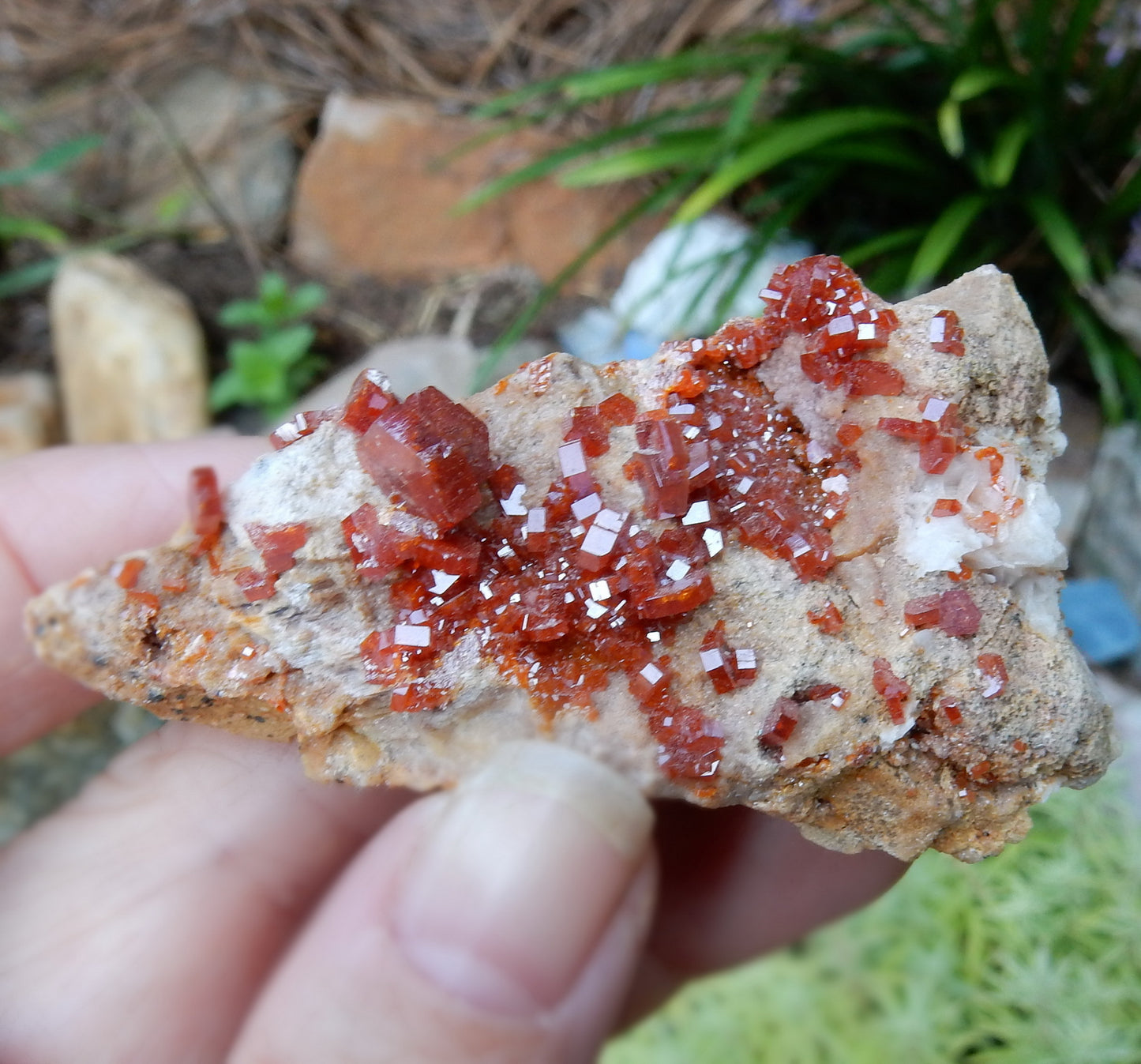 Vanadanite - 230.5ct  Mineral Specimen - prettyrock.com