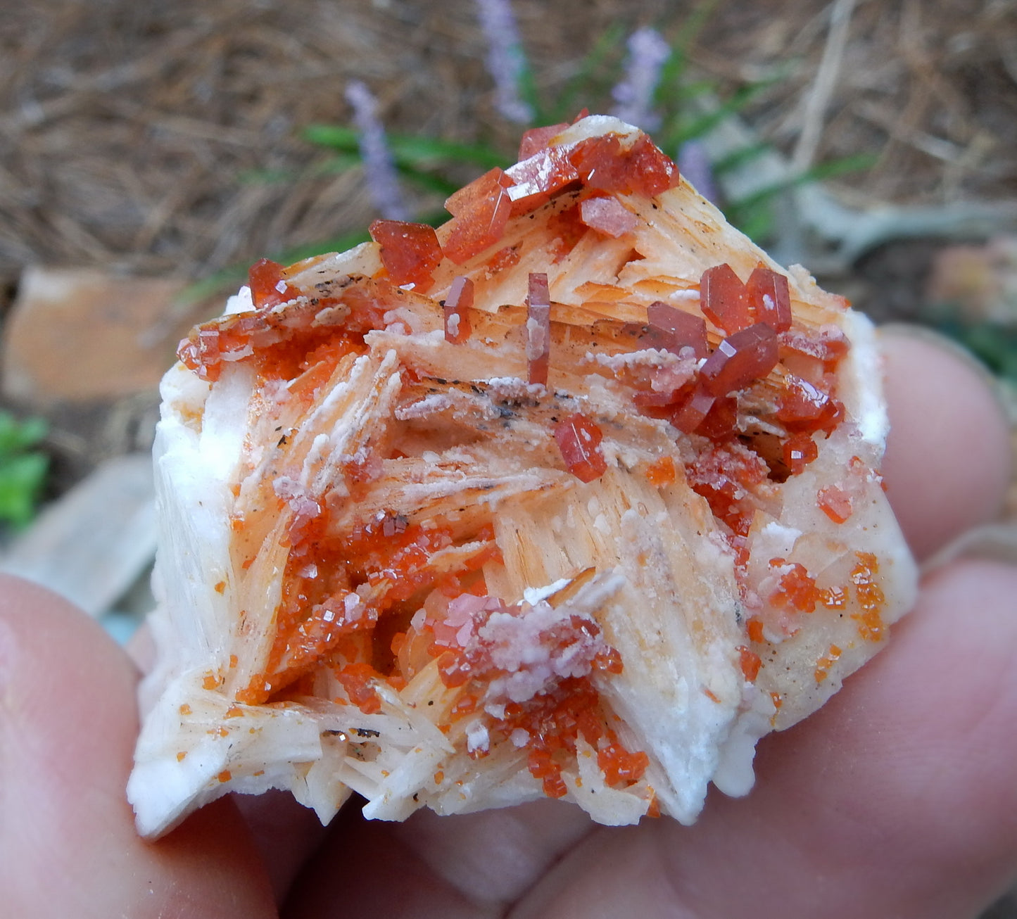 Vanadanite - 228.5ct  Mineral Specimen - prettyrock.com