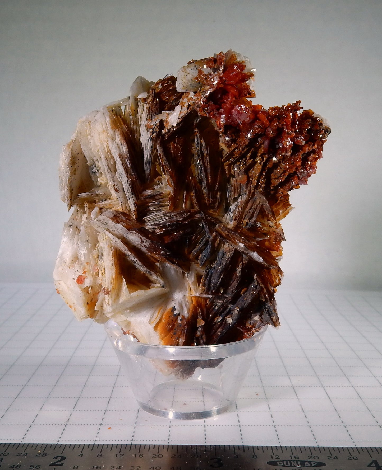 Vanadanite - 483.5ct Mineral Specimen - prettyrock.com