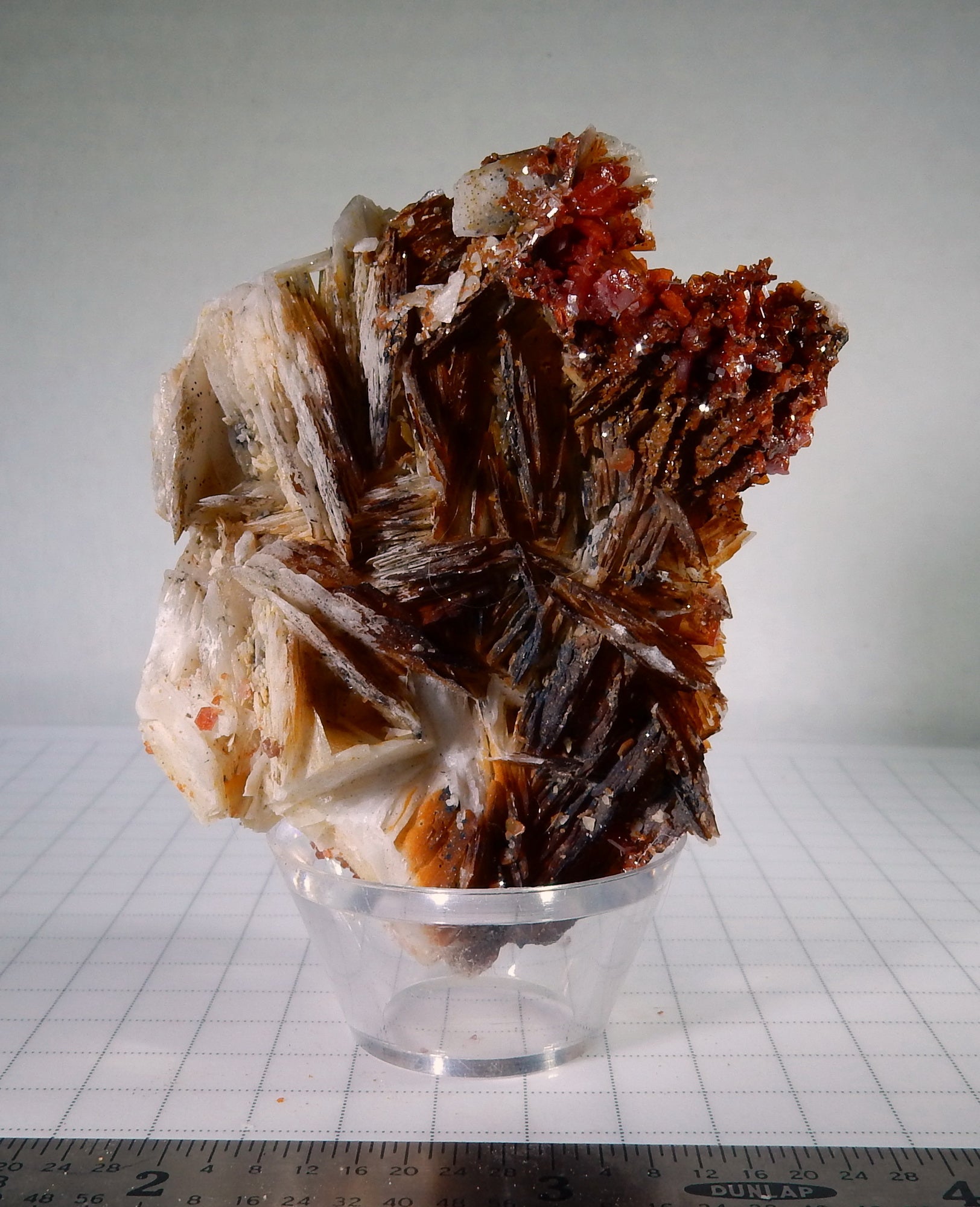 Vanadanite - 483.5ct  Mineral Specimen - prettyrock.com