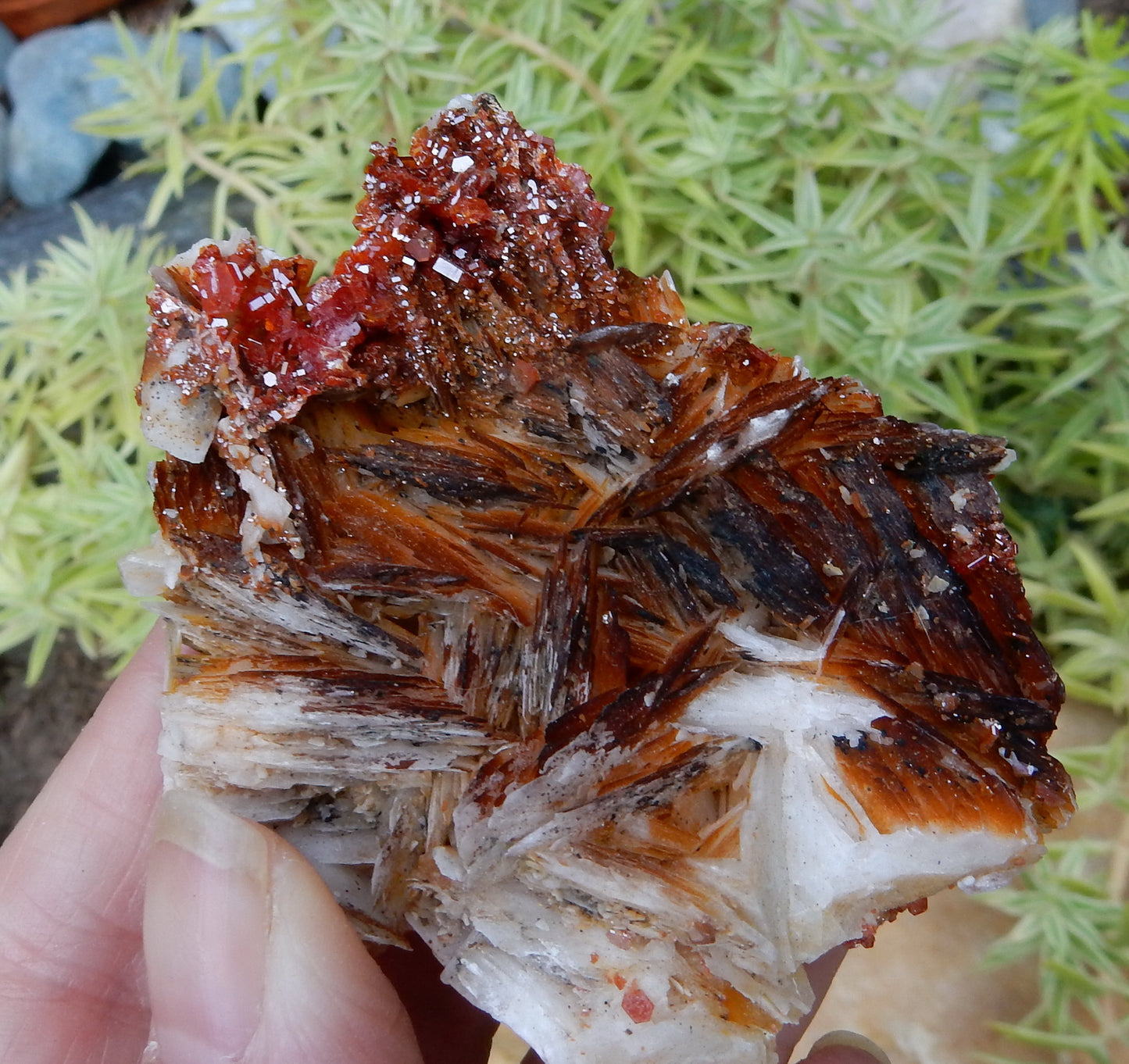 Vanadanite - 483.5ct  Mineral Specimen - prettyrock.com