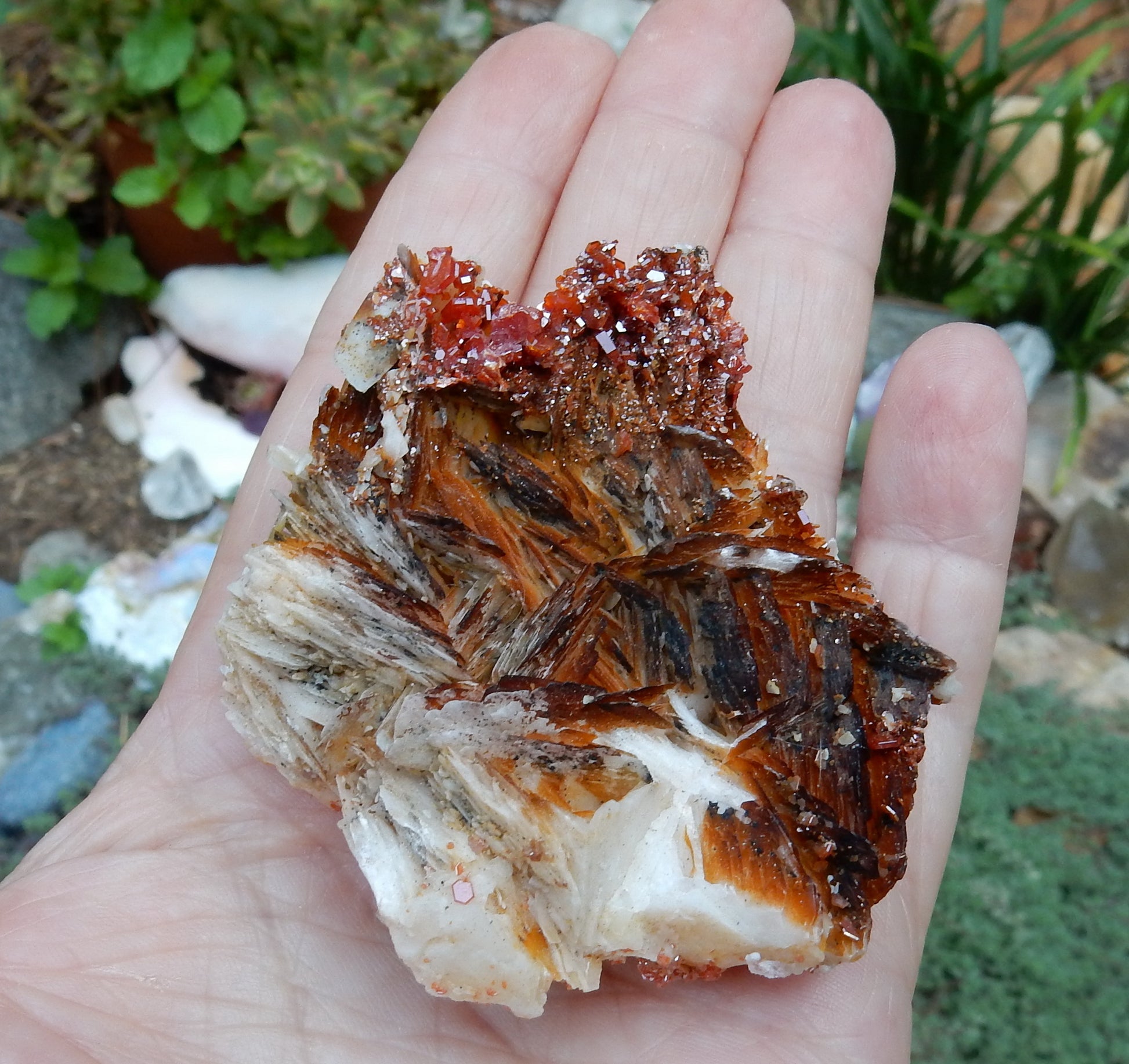 Vanadanite - 483.5ct  Mineral Specimen - prettyrock.com