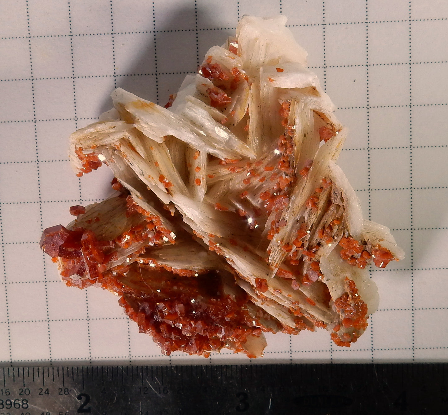 Vanadanite -264ct  Mineral Specimen - prettyrock.com