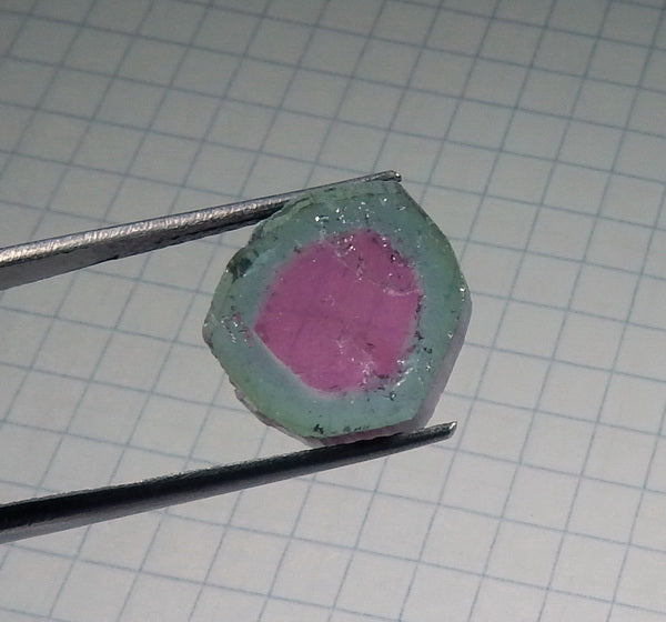 Watermelon Slice Tourmaline - 8.19ct - Hand Select Gem Rough - prettyrock.com