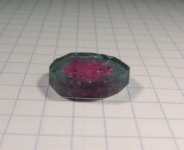 Watermelon Slice Tourmaline - 8.19ct - Hand Select Gem Rough - prettyrock.com