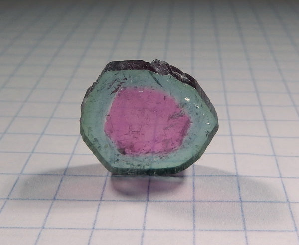 Watermelon Slice Tourmaline - 8.19ct - Hand Select Gem Rough - prettyrock.com