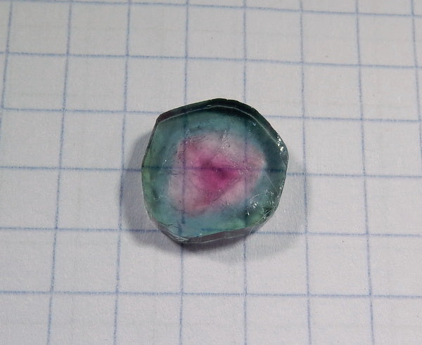 Watermelon Slice Tourmaline - 4.55ct - Hand Select Gem Rough - prettyrock.com