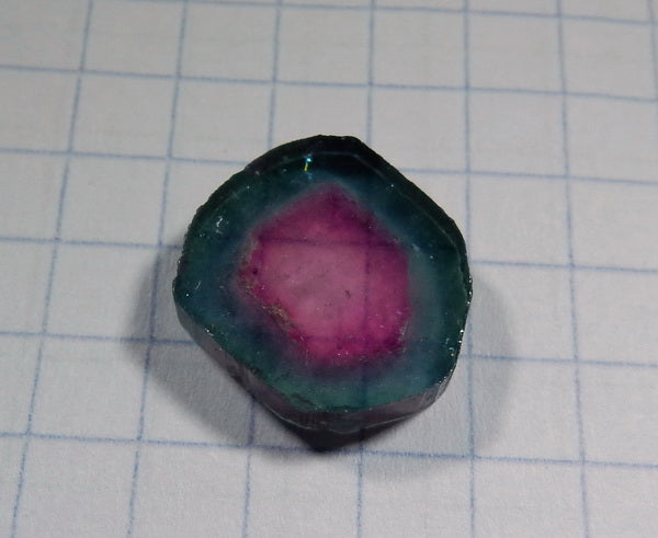 Watermelon Slice Tourmaline - 7.08ct - Hand Select Gem Rough - prettyrock.com