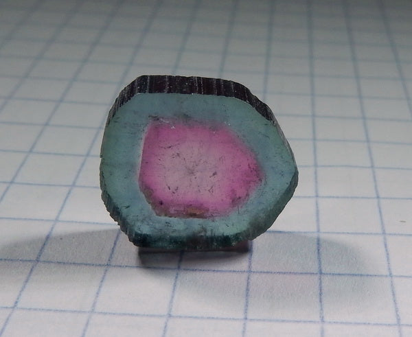 Watermelon Slice Tourmaline - 7.08ct - Hand Select Gem Rough - prettyrock.com