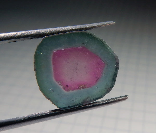 Watermelon Slice Tourmaline - 7.08ct - Hand Select Gem Rough - prettyrock.com